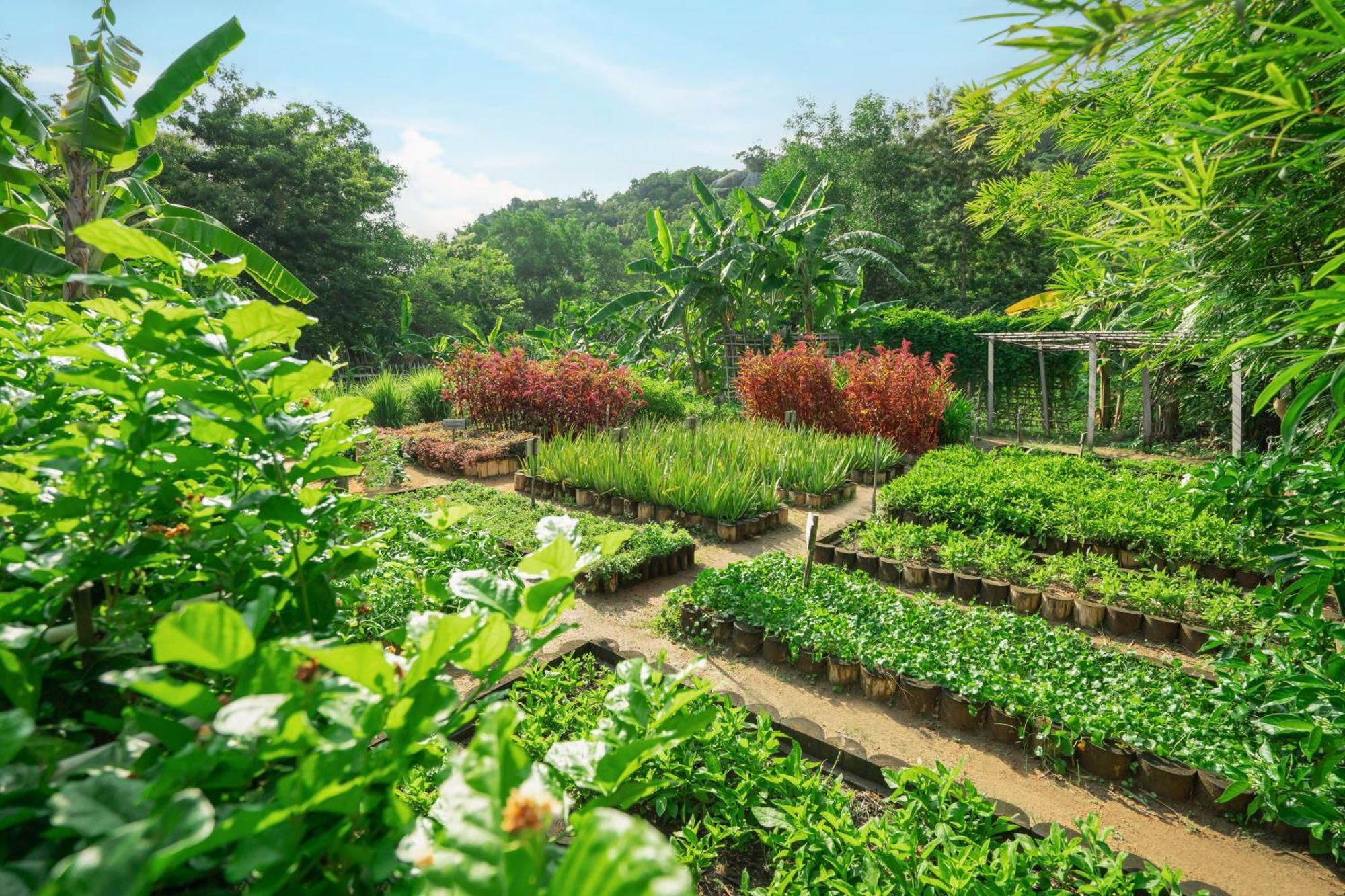 An Lam Retreats Bucht Ninh Van Exterior foto
